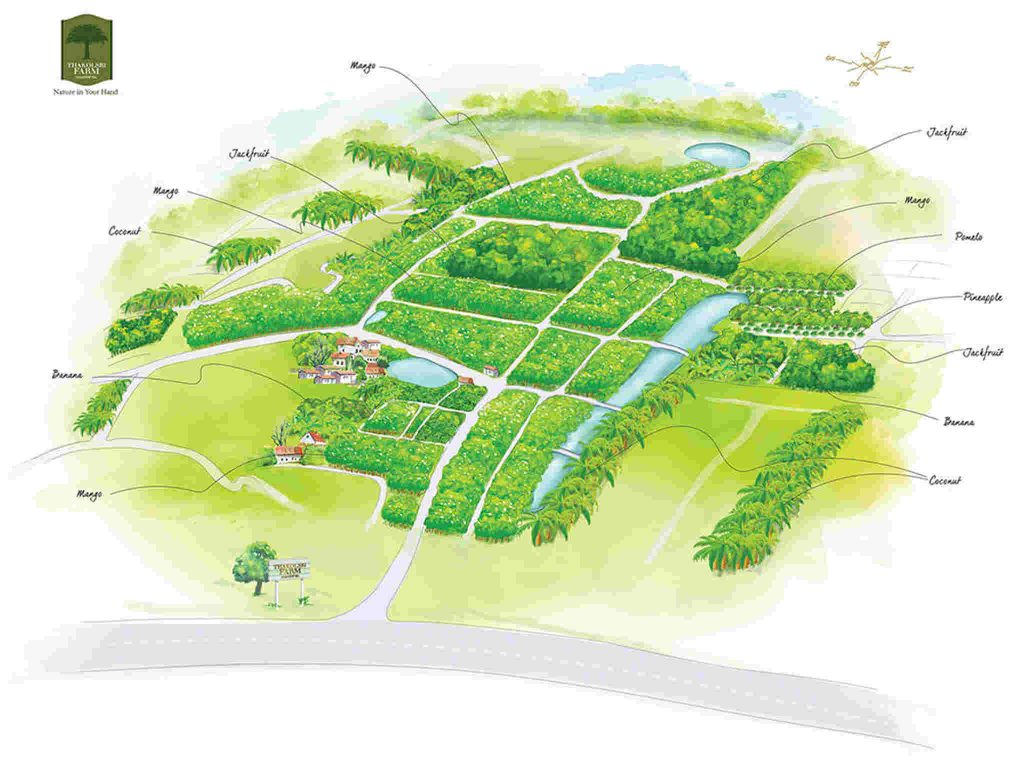 Urban design, Plan