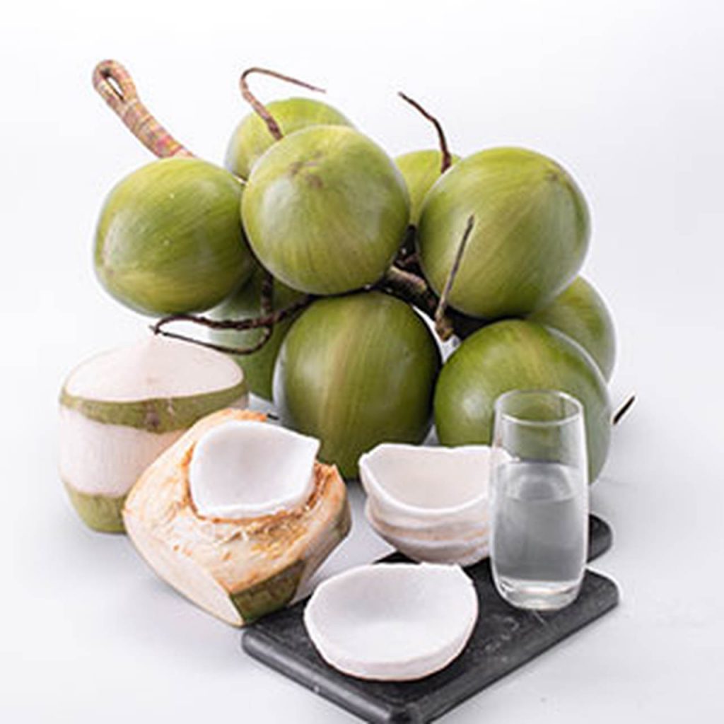 Thakolsri Farm - Coconut