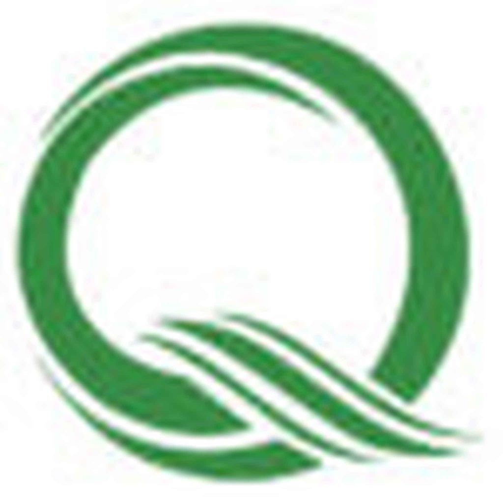 Green, Font, Circle, Wahlburgers, Portable Network Graphics