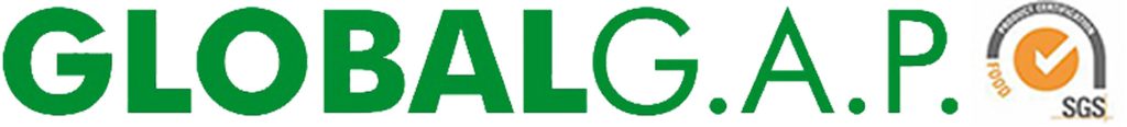 Green, Text, Font, Line, Logo, Trademark, Brand