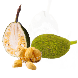Jackfruit, Artocarpus, Plant, Leaf, Tree, Fruit