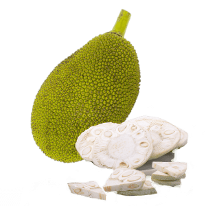 Product, Jackfruit, Plant, Muskmelon