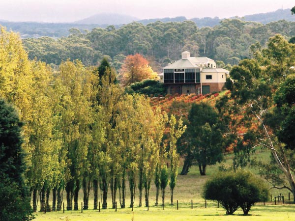Natural landscape, Nature, Tree, Hill station, Biome, Transport, Leaf, Rural area, Landscape, Woody plant, House, Hill, Plant, Home, Mountain, Plantation, Farm, Forest, Vehicle, Estate, Tidbinbilla Nature Reserve, Mount Lofty, Hahndorf, Adelaide, Barossa Valley, Nature, Park