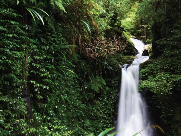 Water resources, Waterfall, Body of water, Natural landscape, Vegetation, Nature, Nature reserve, Water, Watercourse, Rainforest, Jungle, Old-growth forest, Natural environment, Valdivian temperate rain forest, Forest, Stream, Biome, Chute, Tropical and subtropical coniferous forests, Tree, Waterfall, Gwongurai Falls