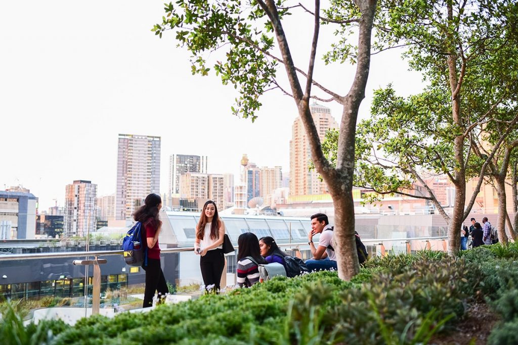 Photograph, Urban area, People, City, Metropolitan area, Human settlement, Tree, Yellow, Downtown, Real estate, Spring, Architecture, Photography, Urban design, Summer, Tourism, Building, Mixed-use, Tower block, Skyline, University of Technology Sydney, University of Technology Sydney, Business School, University, Student, Institute of technology