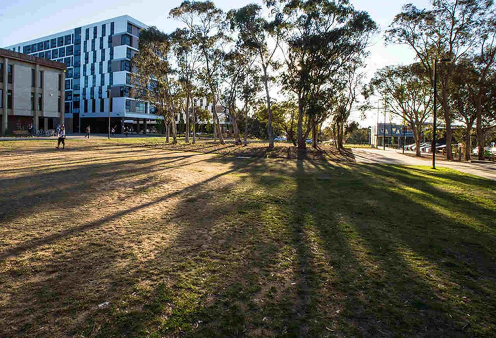 Tree, Grass, Daytime, Architecture, Property, Public space, Residential area, Lawn, Sky, House, Real estate, Shadow, Woody plant, Neighbourhood, Building, Sunlight, Plant, Road, City, Home, University of Canberra, University