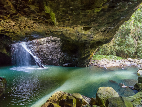 Body of water, Water resources, Natural landscape, Nature, Water, Waterfall, Watercourse, Nature reserve, Formation, Stream, Rock, Wilderness, River, Mineral spring, Ravine, Water feature, State park, Chute, Fluvial landforms of streams, Landscape, Springbrook National Park, Springbrook, Lamington National Park, Waterfall, Numinbah Valley, Natural Bridge, Springbrook National Park, National park