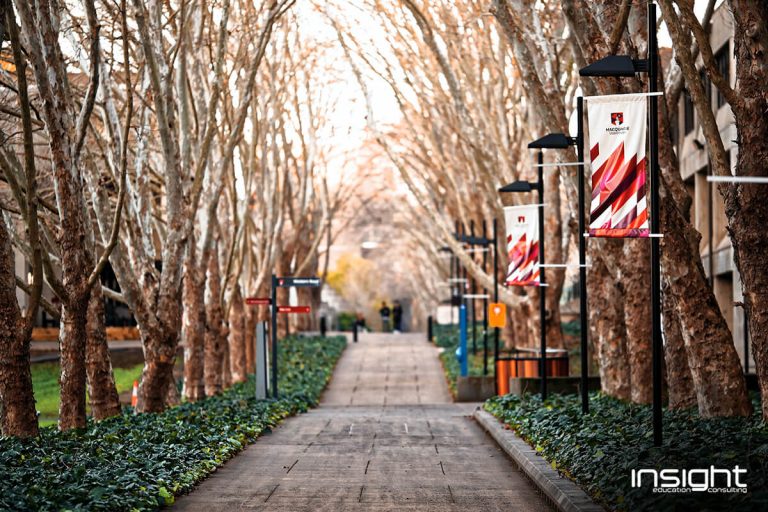 Tree, Street, Town, Road, Road surface, Alley, Public space, Spring, Walkway, Lane, Sidewalk, Leaf, Infrastructure, City, Autumn, Plant, Thoroughfare, Architecture, Cobblestone, University of South Carolina Beaufort - Bluffton campus, Macquarie University, University, Student, International student, University of Reading